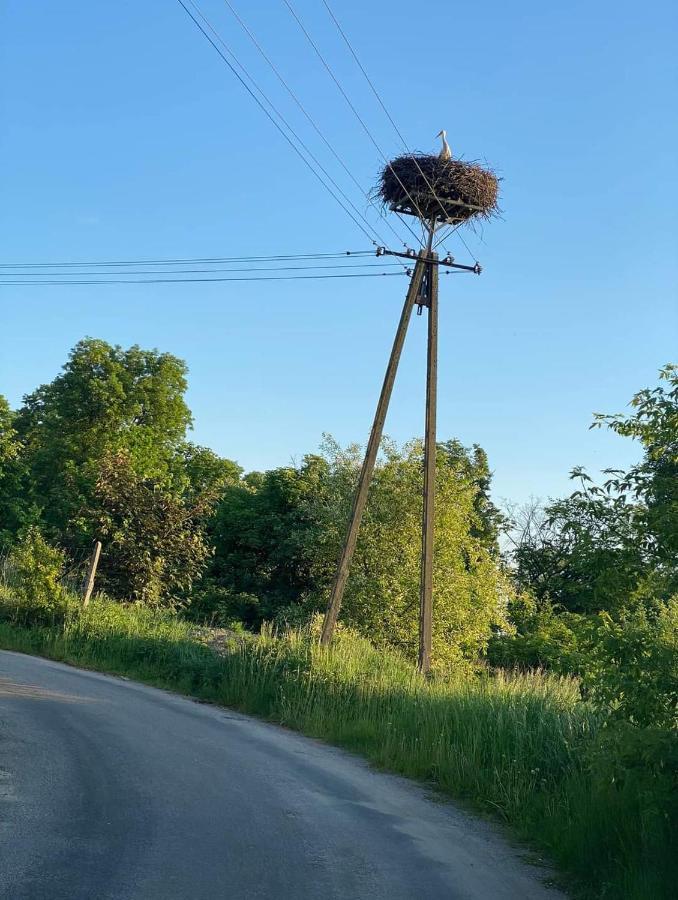 Gospoda Pazibroda Maków Mazowiecki Екстериор снимка